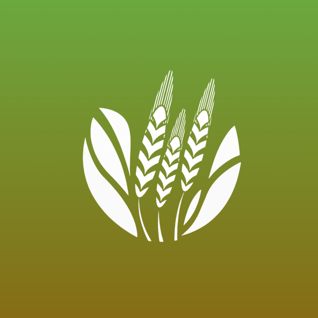 NRSP Microfinance Bank logo
